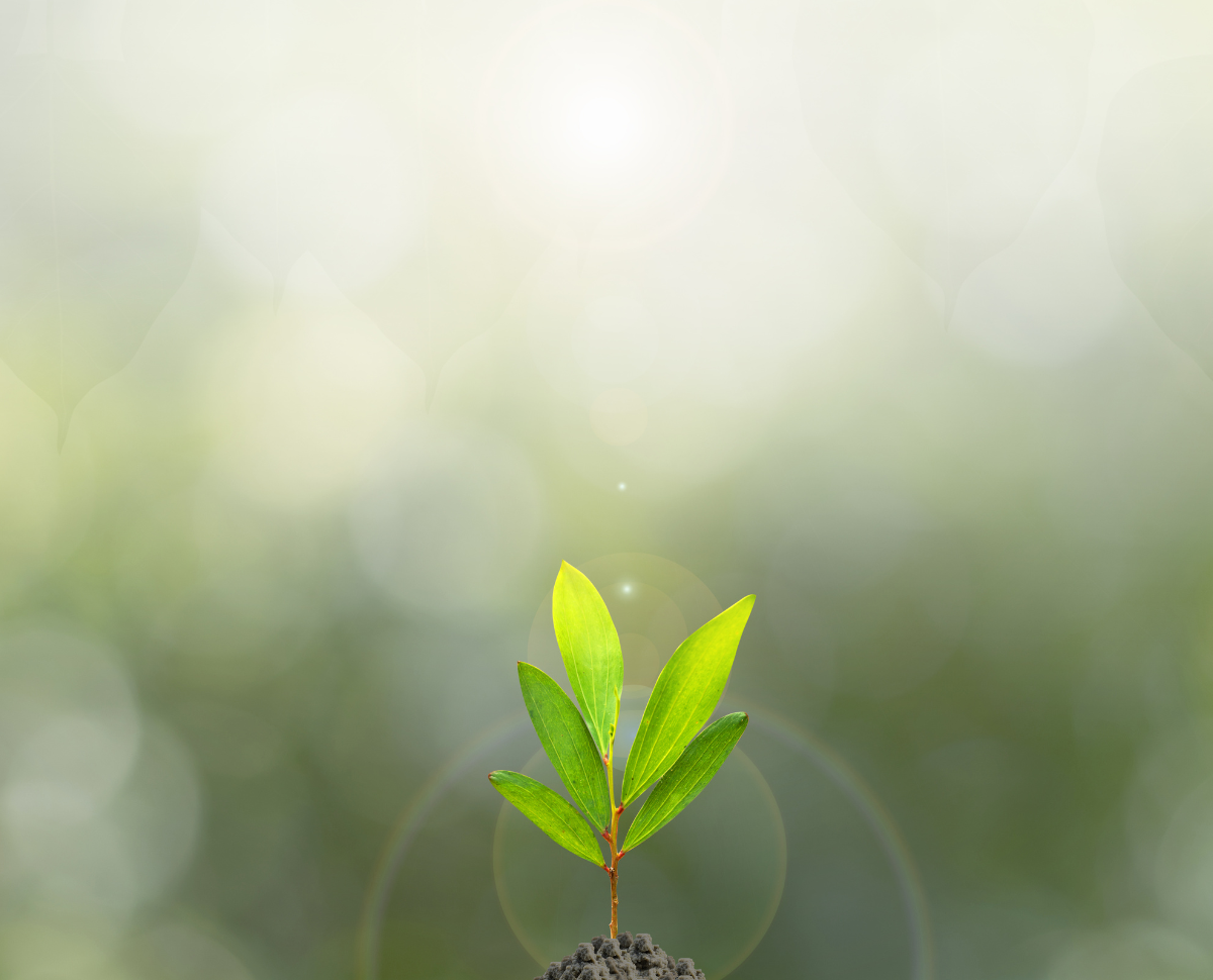 IMMAGINI ARTICOLI - SITO NUOVO